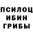 Псилоцибиновые грибы GOLDEN TEACHER Wasa Wasok