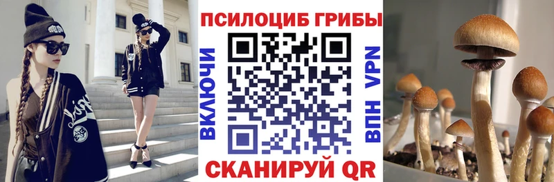 Псилоцибиновые грибы Cubensis  Березники 